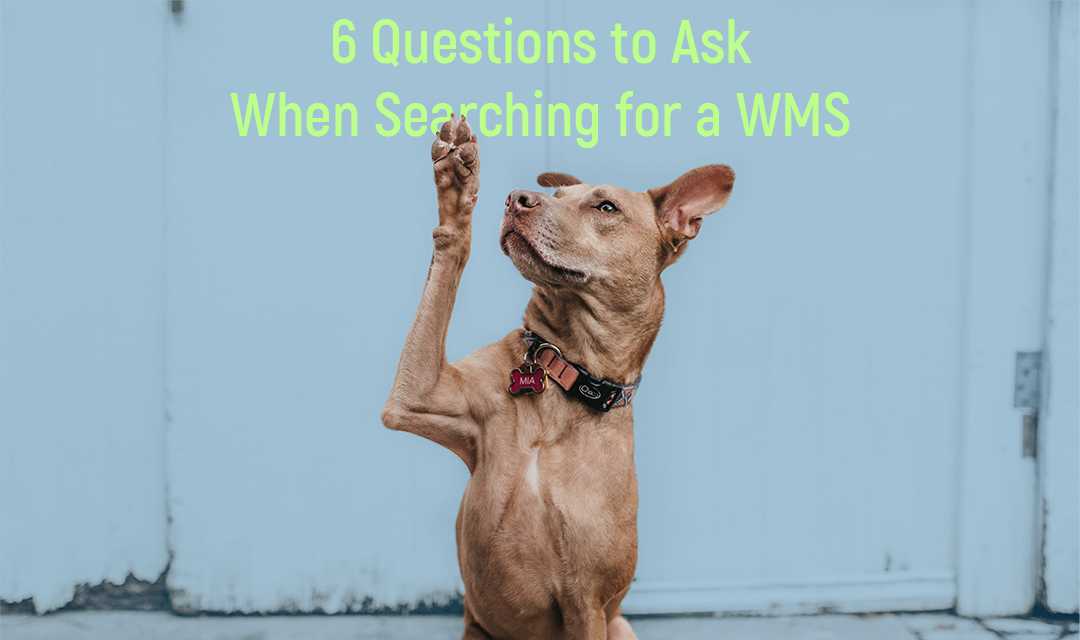 question to ask when searching for a wms